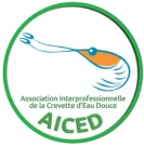 logo-aiced_web